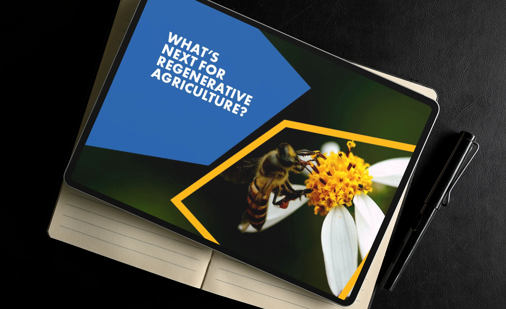 Growing Our Future Report