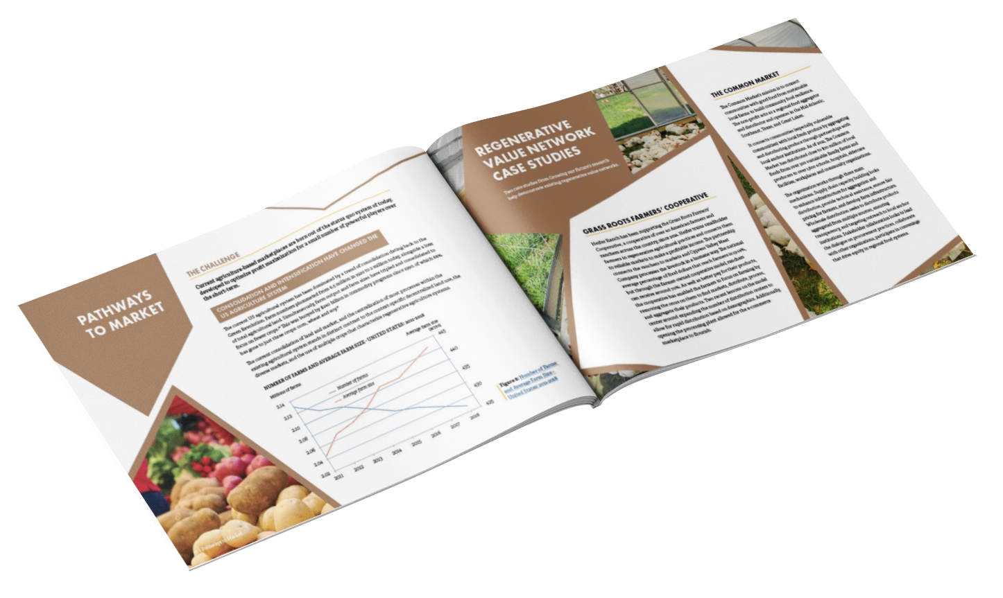 Growing Our Future Report Spread