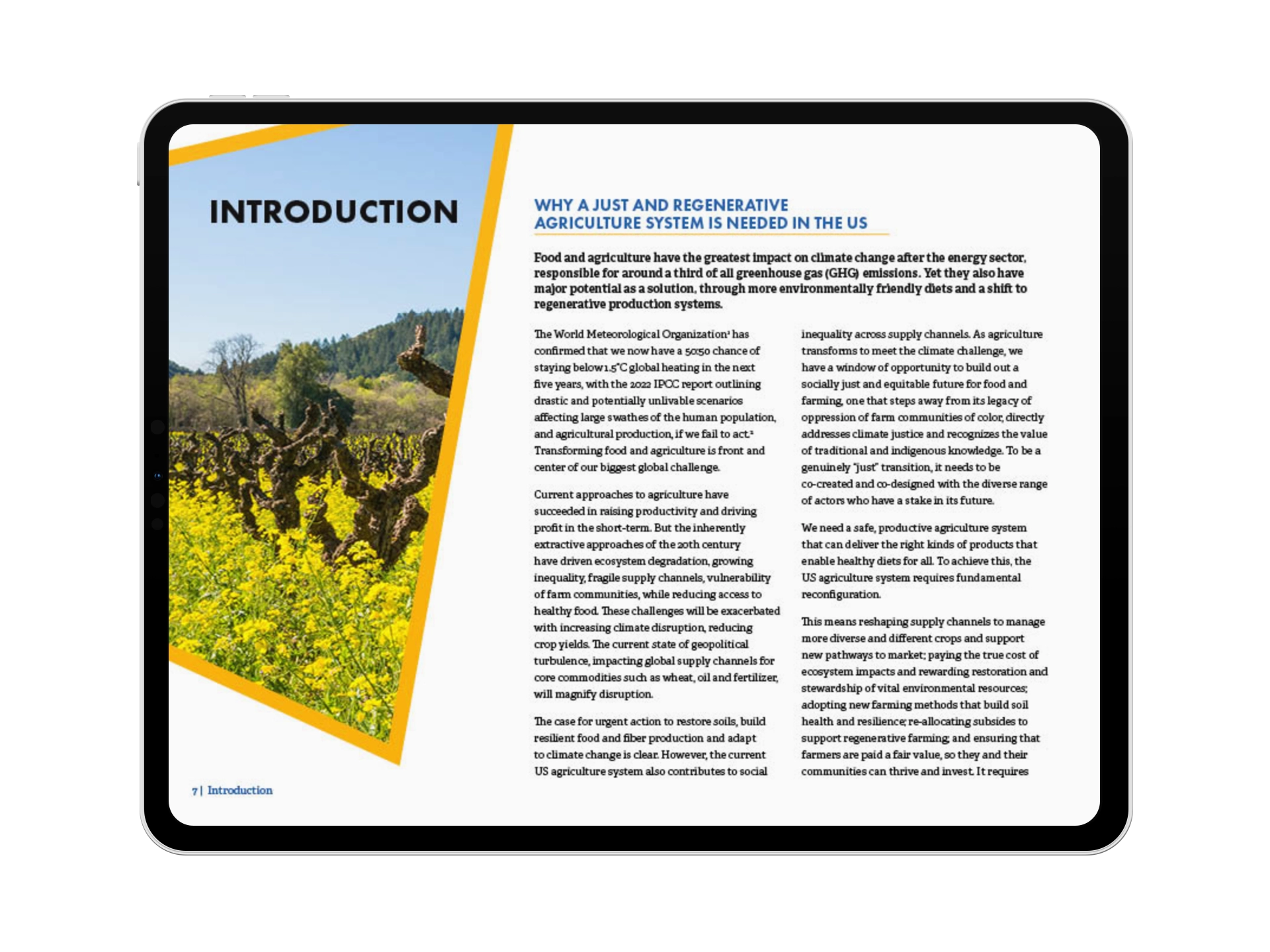 Growing Our Future Report