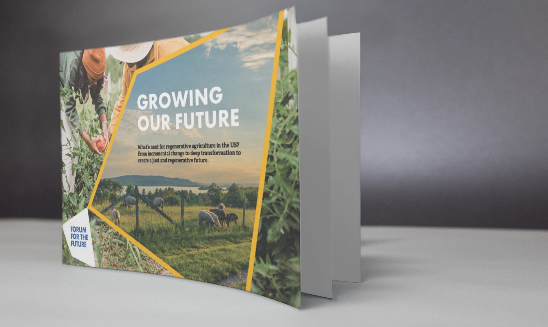 Growing Our Future Report